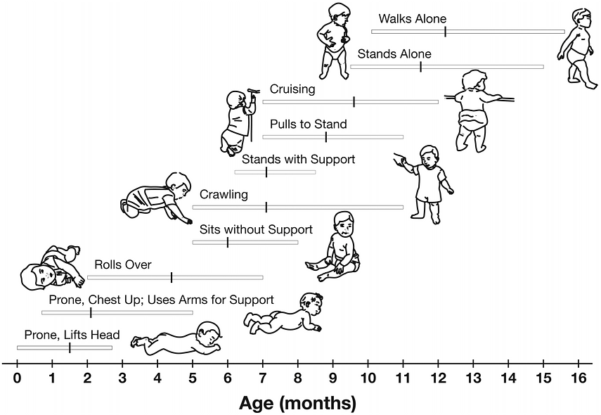 Developmental Milestones PEEK Project